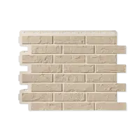 ПАНЕЛЬ КИРПИЧ РИЖСКИЙ, ЦВЕТ 06